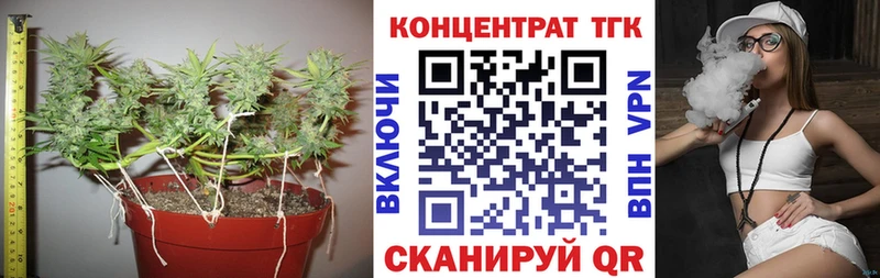 купить наркотики цена  блэк спрут ТОР  Дистиллят ТГК Wax  Кемерово 