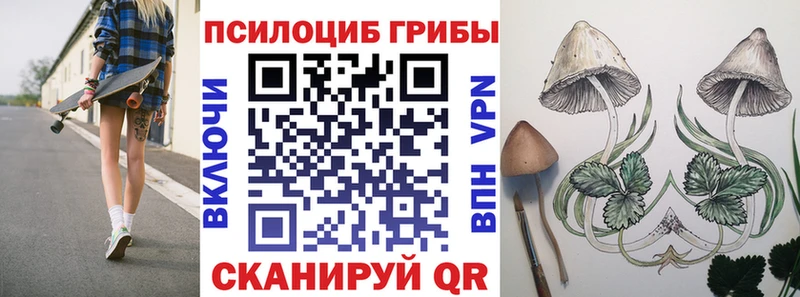 где можно купить Кемерово Галлюциногенные грибы Magic Shrooms